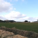 건영목장 이미지