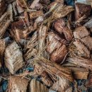 광덕안정한의원 이미지