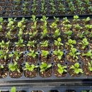 사곡농장 이미지