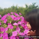 포토샵으로 내 사진 꾸미기 이미지