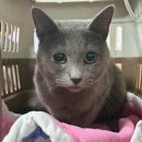 남양주 별내119안전센터 이미지