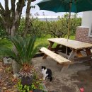 새롬민박 이미지