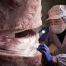 오미목장 이미지