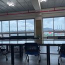 바네스(VANESSE) 이미지