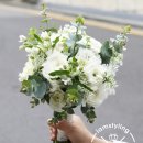 아임내츄럴