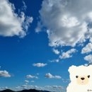 오렌지 감자탕 이미지