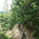 김화목장 이미지