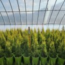 김진근농장 이미지