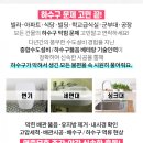 둔촌동 KNP이스트빌 네이버블로그