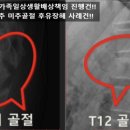 장원행정사사무소 이미지