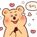 입애단 김밥 이미지