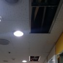 용인대수석태권도 이미지