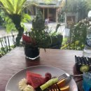 Q HOTEL | 발리 우붓숙소추천 아누마나 우붓 호텔 (Anumana Ubud Hotel) 후기 및 정보