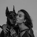 사람과애견 이미지