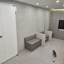 24시 딜라이트 동물의료센터 이미지