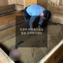 편백효소찜질 본점 | 의정부 편백 효소 찜질 🧖‍♀️ l 힐링과학연구센터 솔직 후기✨