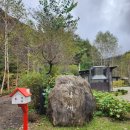 마랑재 | 평창 감성 펜션 마랑재 후기 | 고양이와 힐링하는 숲속 숙소 추천 🐾