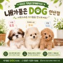 내가품은Dog