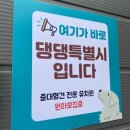 모여라 댕댕 이미지