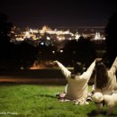 초심민박 이미지