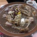 허가네산약초오리 이미지