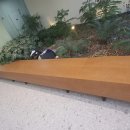 쌍용목재 이미지