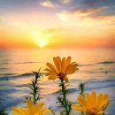 자연오리 이미지