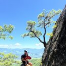 시루봉 급경사길(바람재밑) | 한여름의 곡성 동악산....