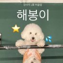타임짐 이미지