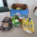 야미프룻 이미지