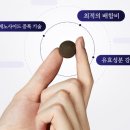 천삼 | 150년 산삼 침향환, 천담재 천삼기환 실제 체험 후기