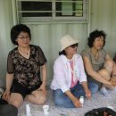 규농장 Daum카페
