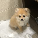 퇴근 후~ 쳇GPT와 만나기 | 오리지널캔디처럼달콤한추억이반짝반짝기억속에빛나