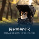 동탄행복약국 이미지