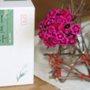 설아다원 이미지