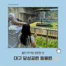 달성공원 | 달성공원동물원 나들이 후기 대구 돌전아이랑 갈만한 곳