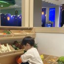 꿈의숲동물병원 | 구미 경북 근교 아이랑 갈만한 곳 | 대구 어린이세상 + 어린이교통랜드 솔직 방문후기