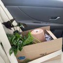 이레가든 이미지