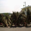 직신마을회관 이미지