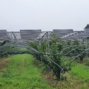 세정태양광발전소 이미지