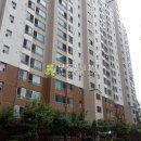 정자천로133번길 Daum카페