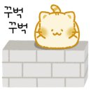 엘림아동발달센터 이미지