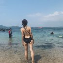 제주해양레저사계