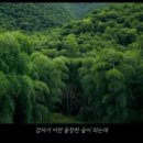 예일태권도장 이미지