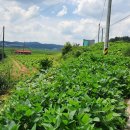 광명리마을회관 이미지