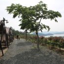 강진 자연드림 이미지