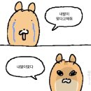 나 댓글알람이 안와 이미지