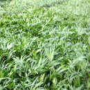 학이농장 이미지