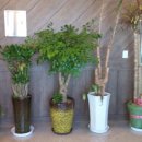 강화군장애인회관 이미지