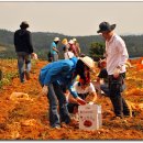 석호농장 이미지